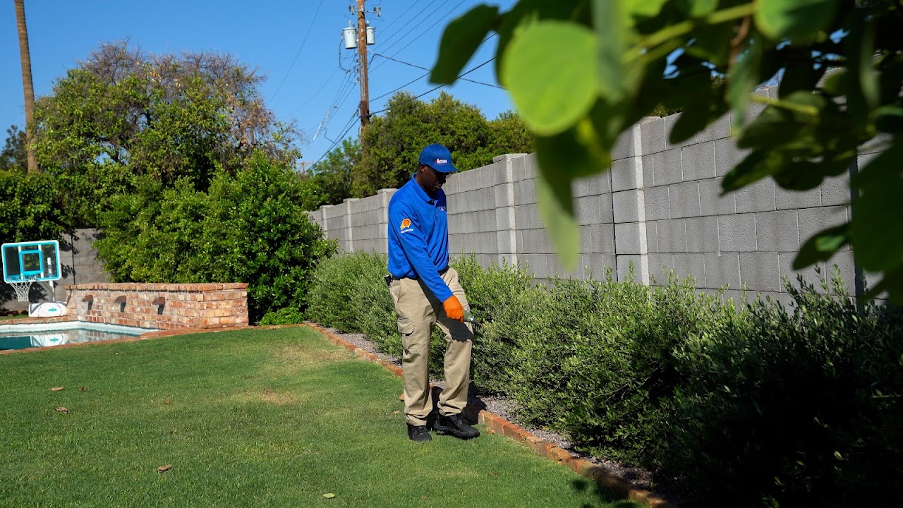 ACTION Termite & Pest Control project