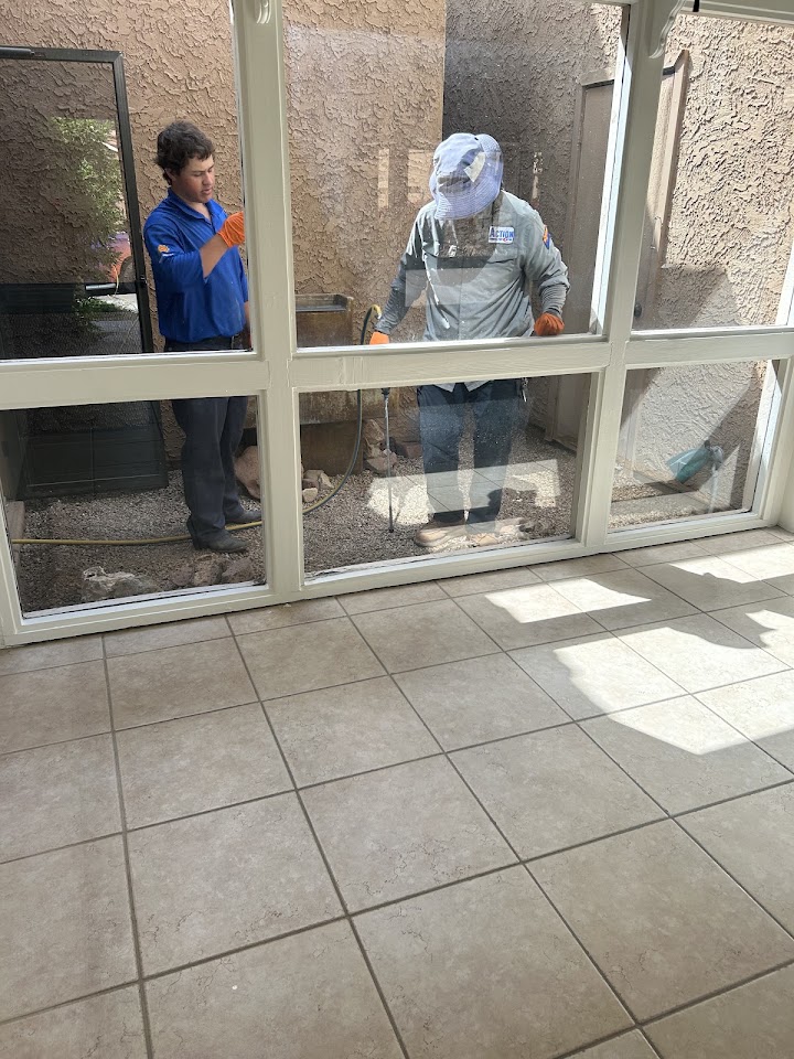 ACTION Termite & Pest Control project